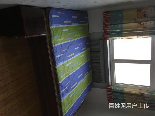 年费5千每年 - 图片 6