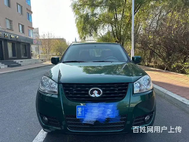 其他 皮卡 - 图片 1