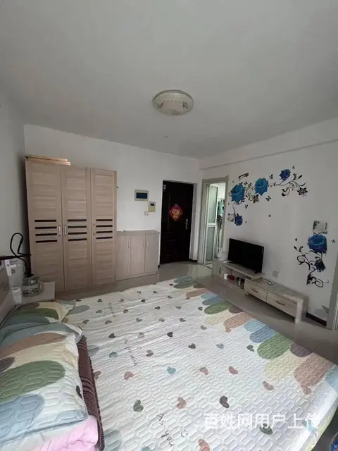 地铁房爱丽香舍(铁西) 普通住宅1厅 中等装修 - 图片 7