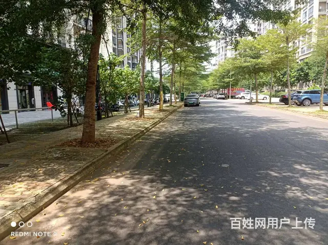 （51旺铺推荐）绿地城江东首府小区北门50平临街旺铺招租 - 图片 8