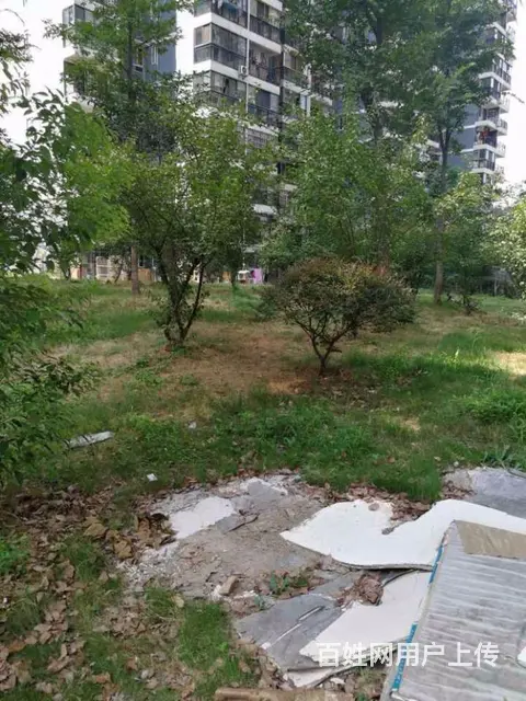 4号线铁机路站 东沙花园 独立电表 楚河汉街 岳家 - 图片 11