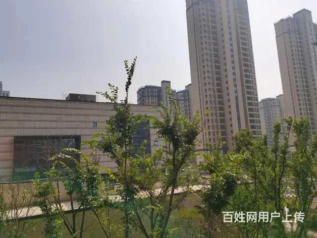 银江国际一期3楼二室二厅的，可改小三室南边排采光无 - 图片 9