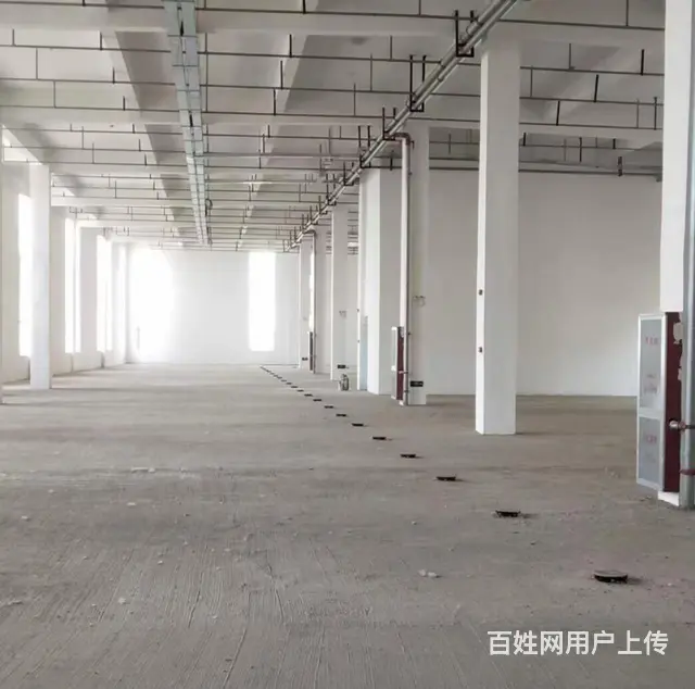 禹会区喜迎门附近厂房出租 - 图片 3
