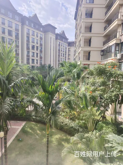 雨林源筑一室一厅出租 - 图片 12