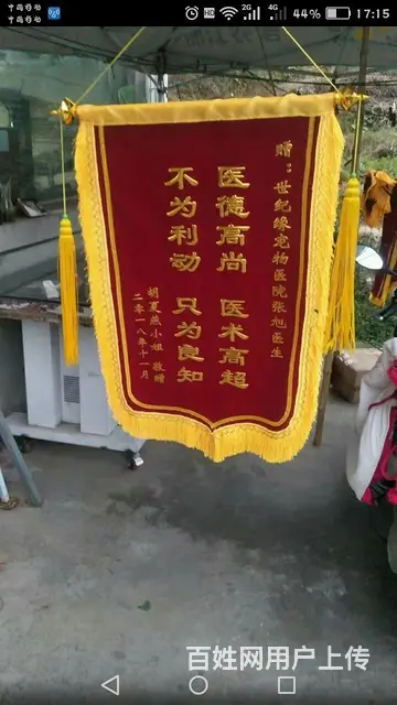 杭州制作精致锦旗用来送人，表示答谢的锦旗 - 图片 1
