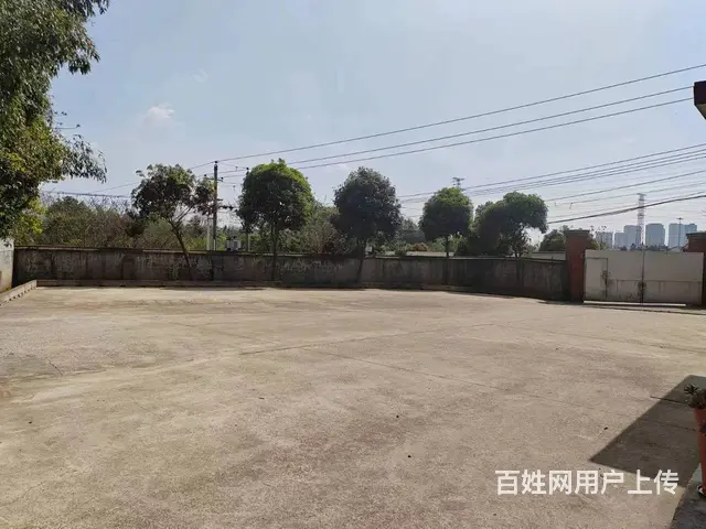 （老板本人）开福区捞刀河中青路南方驾校附近场地出租 6206 - 图片 2