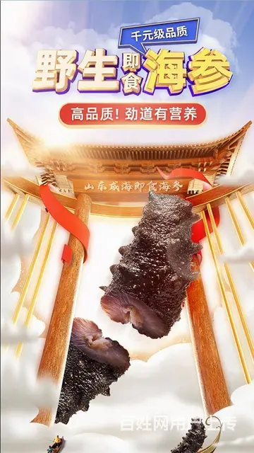 威海海产品海参海蛎子海鲜深海鱼食品广告拍摄设计 - 图片 1