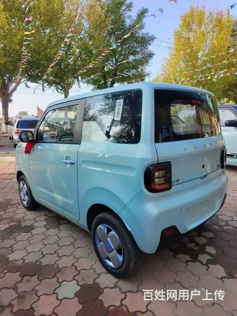 吉利 熊猫 2015款 熊猫EV EV - 图片 6