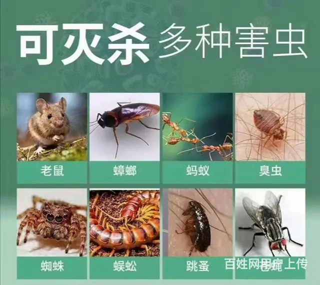 灭四害除甲醛 - 图片 1