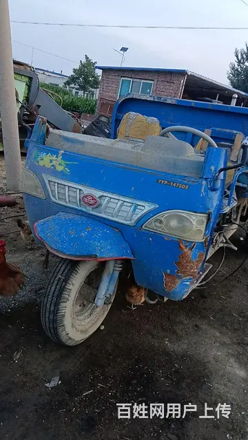 两台五征三轮车 - 图片 6