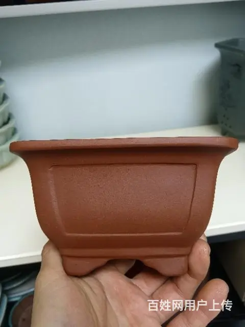 精品盆景花盆，宜兴紫砂花盆 - 图片 6