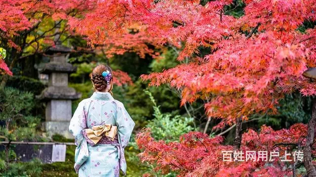 溧阳外语培训，日语备考的一些技巧 - 图片