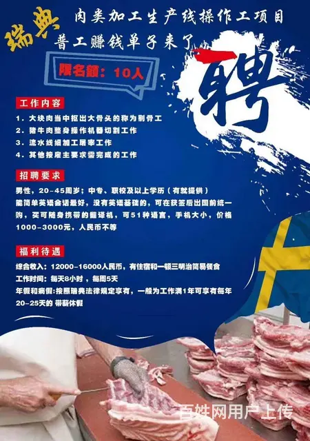 出国工作签证，务工业办理公司，多个国家合作 - 图片 6