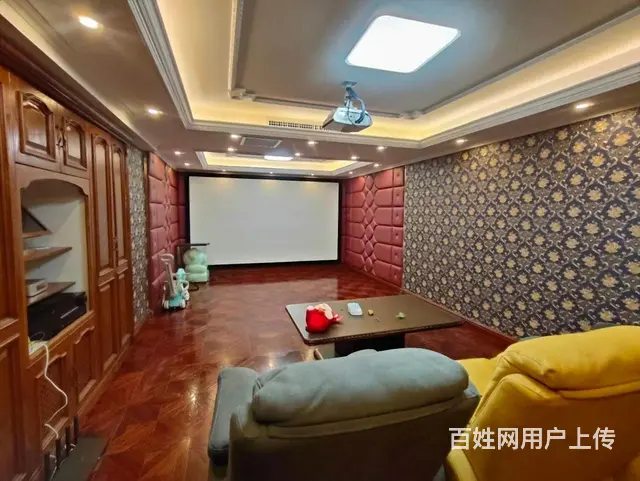 群力观复国际别墅700米豪装地上三层地下两层，两个车位有花园 - 图片 12