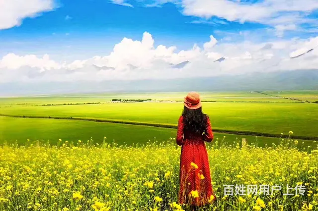 呼伦贝尔大草原自由行包车师傅推荐《王师傅》 - 图片 4