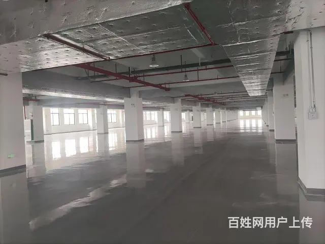 海口及周边县市十万平办厂房出租出售，可以做厂房仓库冷库4S店 - 图片 6