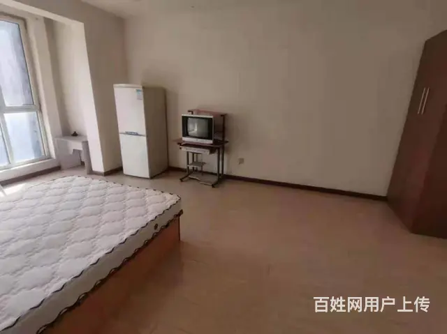 丽都新城(铁西)(铁西) 普通住宅1厅 精装修 - 图片 2