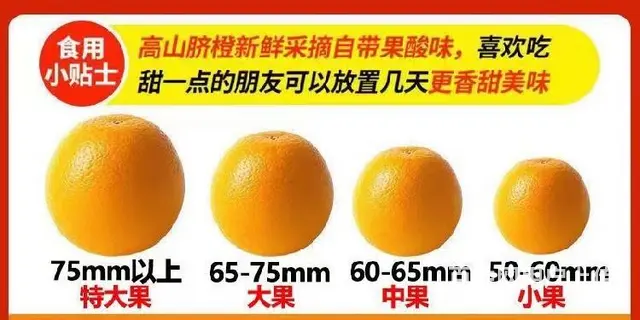和平赣南脐橙批发价格 - 图片 5