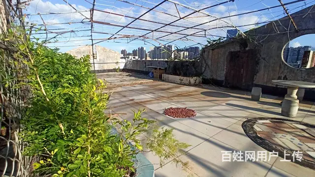 好房 九，十七小 带平台 银厦广场 南向采光充足 看房方便 - 图片 12