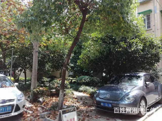 景芳一区景芳地铁口边上天虹太平门直街钱江新城四季青和谐东 - 图片 11