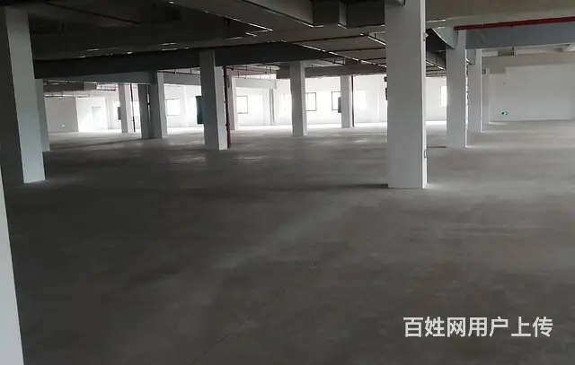 房东直租—30000平全新厂房、仓库 - 图片 4