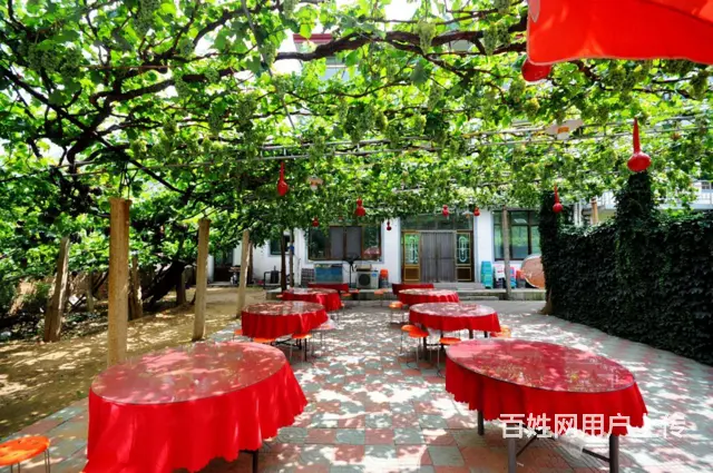 秦皇岛热门的昌黎葡萄沟民宿哪里比较好 - 图片 3