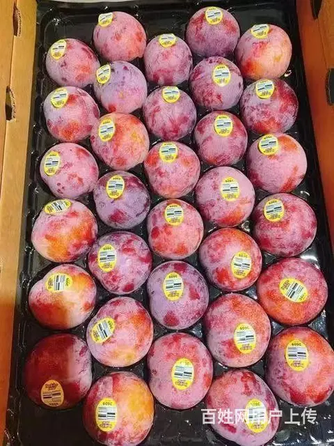 水果批发市场 配送全成都酒店 食堂 学校 单位上门 - 图片 5