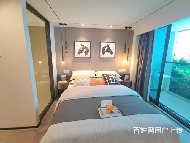 政府财税奖补明湖中对面 高铁站轻轨口复式挑高 央企开发 - 图片 3