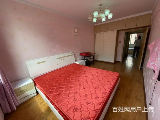 [玫瑰]中华园二期[玫瑰] [烟花]（首付1万）多层3楼74 - 图片 7