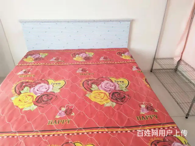 【搞定了！】枫彩家园阁楼8楼出租 - 图片 5