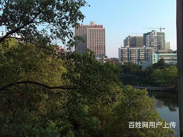 环城北路青少年宫附近1室配套简单装修带家具家电月租450 - 图片 2