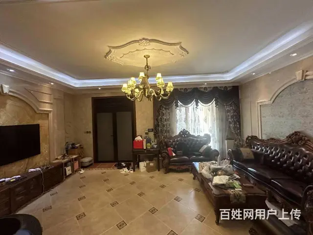 翠湖天地璞园别墅 580米 简欧风 前后花园  带独立车库 - 图片 2