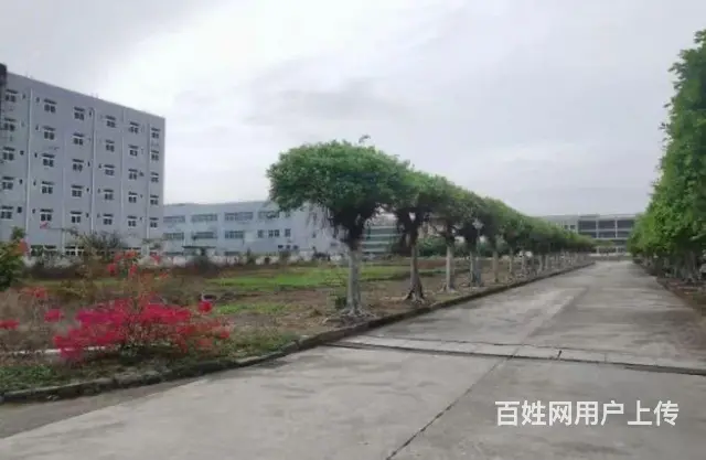 金湾三灶科技园厂房占地46546平，股权转让1.1亿，位置好 - 图片 6