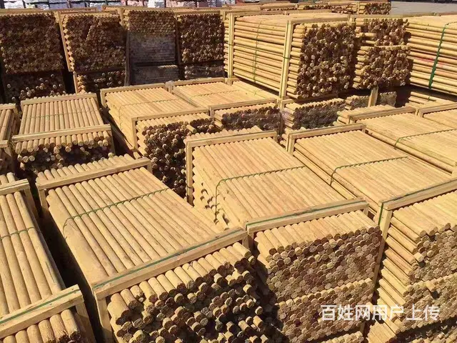 威海园林绿化杉木杆，竹杆批发现货供应_12小时送达 - 图片 4