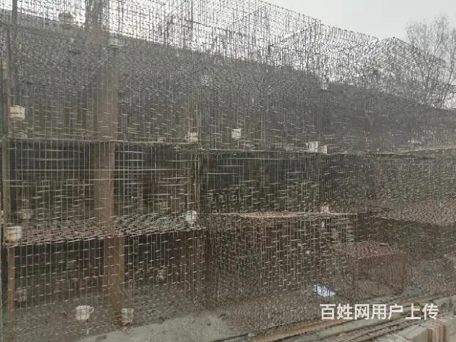 出售笼子 - 图片 1