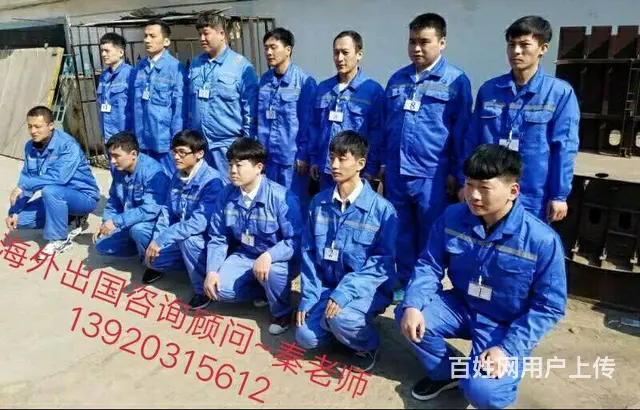 澳洲加拿大新西兰《无费用保签》年薪60万出境快 - 图片 4