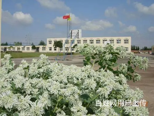 内蒙古奈曼旗白酒厂房整体出售 - 图片 2
