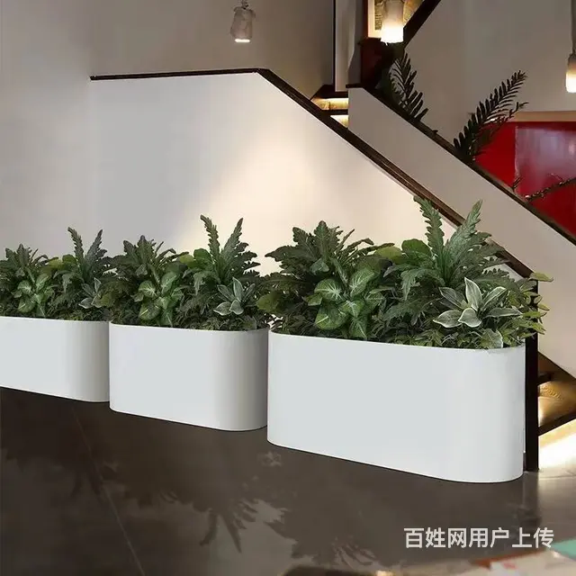 广州办公室花木绿植租凭 植物租摆 绿植购买出售 - 图片 5