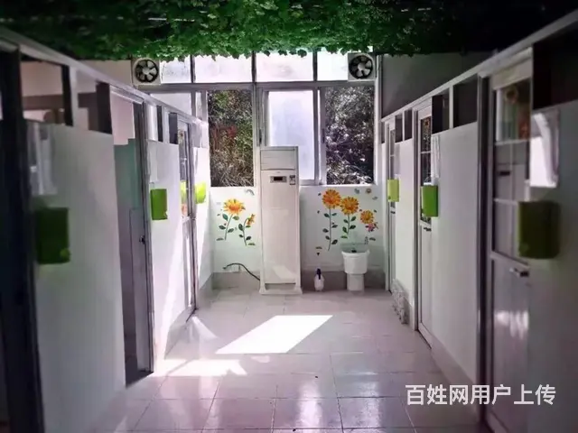 清远市训犬基地～清远训犬～训犬基地，狗狗学校 - 图片 10
