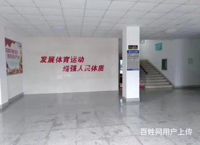 高区文化路体育局精装办公配套475平写字楼出租 - 图片 3