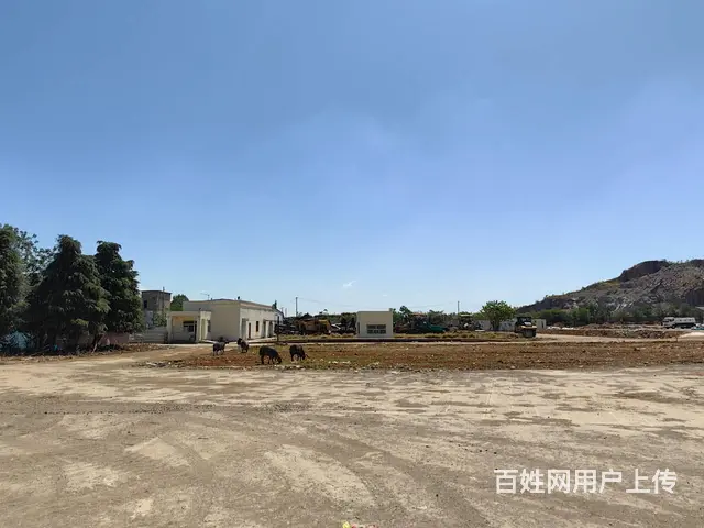 （城市在线找房免费）开发区通港大道附近独门独院场地出租 - 图片 8
