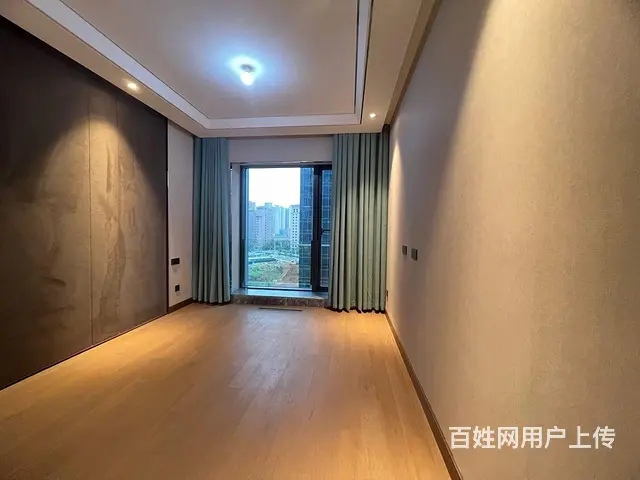汉街  省政府 水果湖 skp接待办共好房  实地 - 图片 8
