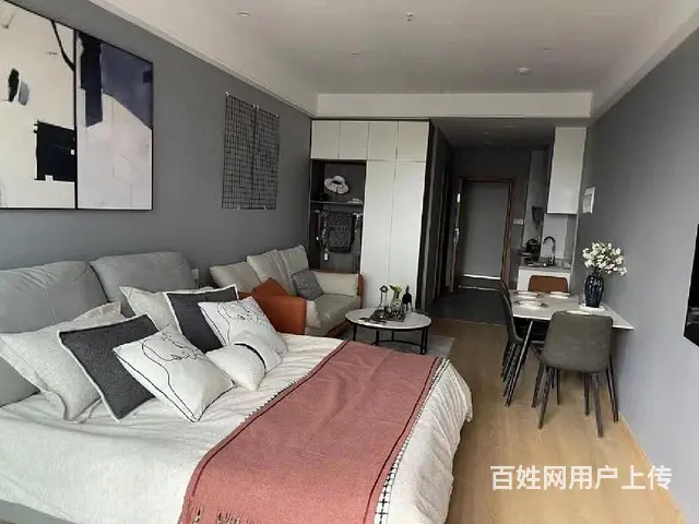 单价6999起，劳动西路现房公寓！带独立阳台，运河天地 - 图片 9