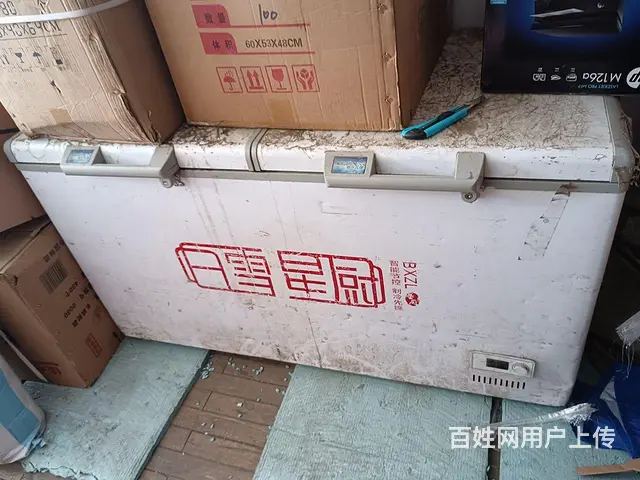 【搞定了！】出售冰柜一台 - 图片 1