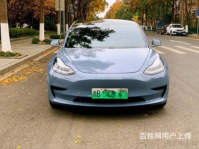 特斯拉Model 3 2020款 标准续航后驱升级版 - 图片 2