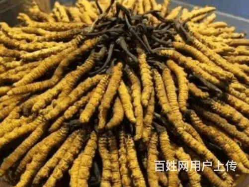 南召县茅台酒收购价格单个人上门回收烟酒 - 图片 1