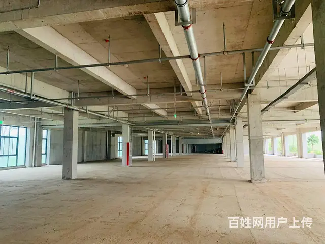孟津新一高旁，优质园区出租，多项政策扶持，可分割 - 图片 2