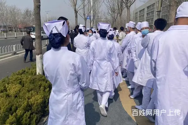 春考秋季招生报名 - 图片 3