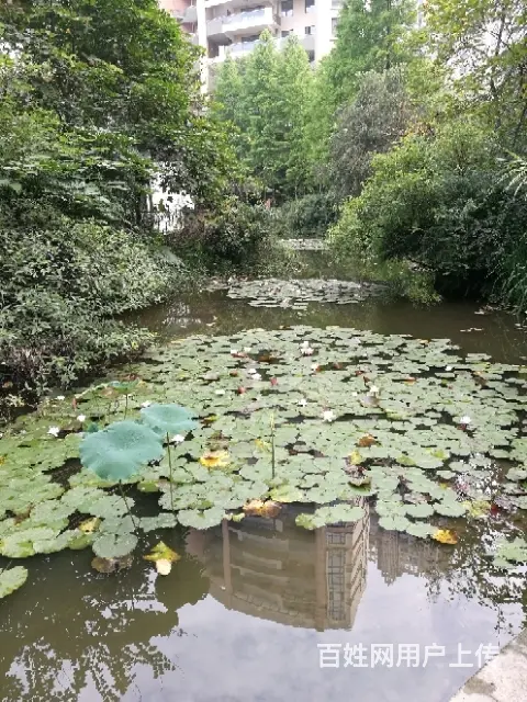 个人毛坯新房出租 - 图片