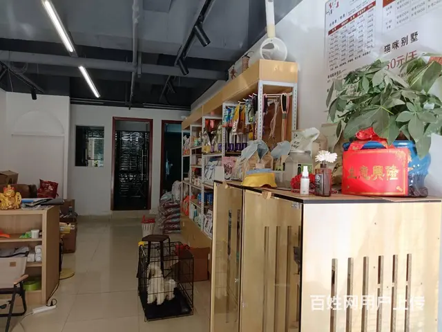 （老板本人）临街宠物店优价转让  5629 - 图片 7